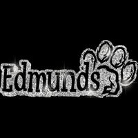 GLT17 SILVER GLITTER Thumbnail